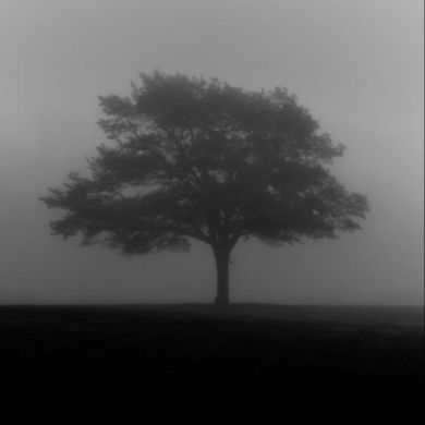 عماد الشافعي  Profile Picture