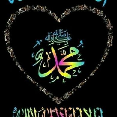 abdulhamid1 Profile Picture