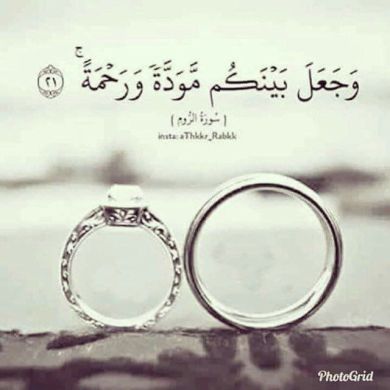 abuzulqernain bedru Profile Picture