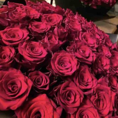 An Ya Profile Picture