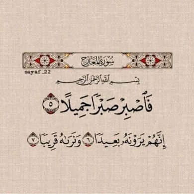 Hayat Nuri Profile Picture