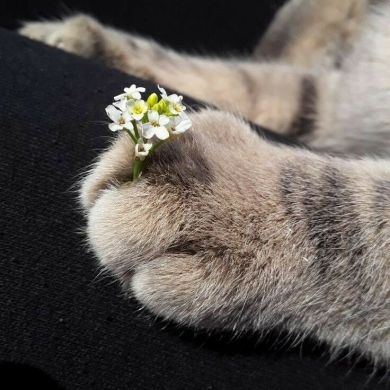 جميلةة امحمد Profile Picture