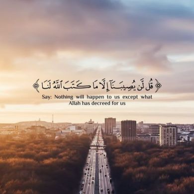 imran adem Profile Picture