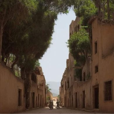 محمد أبو عامر