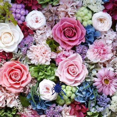 Ibtissem JEBALI Profile Picture