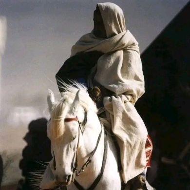 boudjenoui mohamed Profile Picture