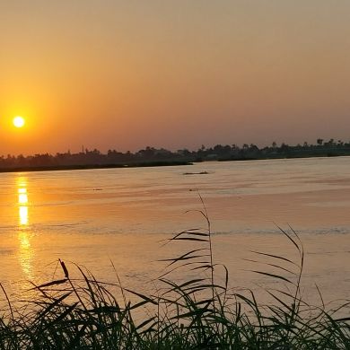 عبدالرحمن محمد Profile Picture