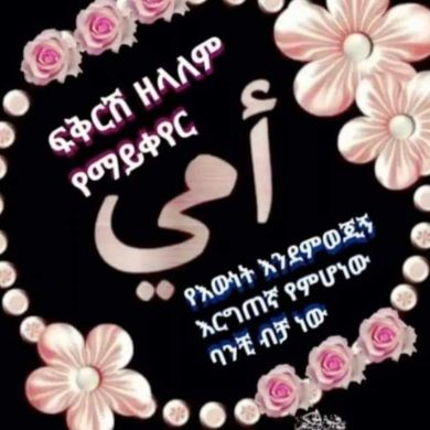 ahmed sofia Profile Picture