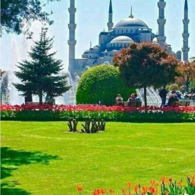 kedir Girgibo Profile Picture