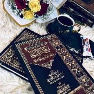 hussen seid Profile Picture