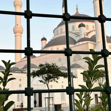 fatima2006 Profile Picture