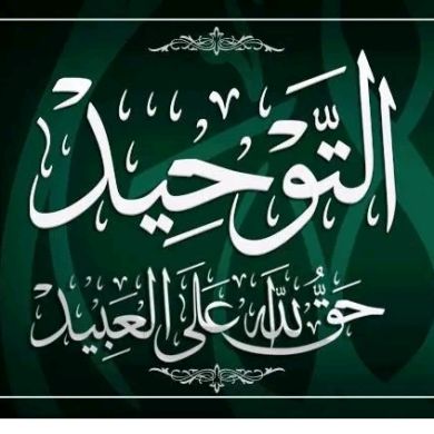 ابوبكر خیار Profile Picture