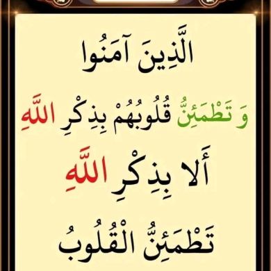 عمر سراج Profile Picture