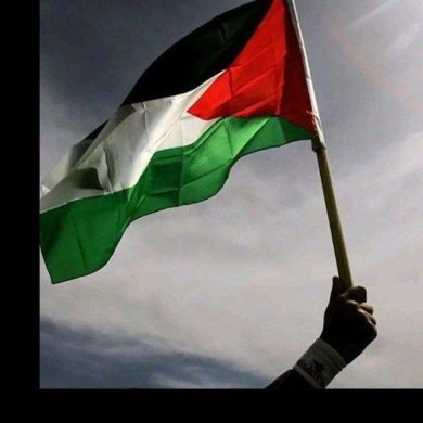 Adnan Dino Profile Picture