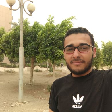 شريف بن عصام الأزهري