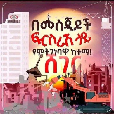 Temima Hussen Profile Picture