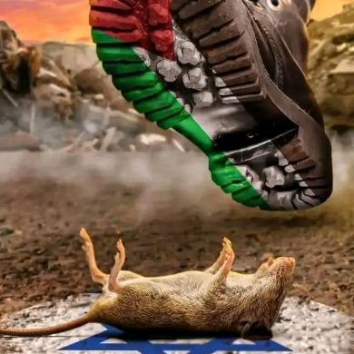 faeza abrare Profile Picture