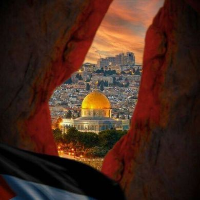 Motaim Profile Picture