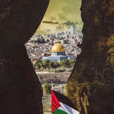 Mostafa Hamdi Profile Picture