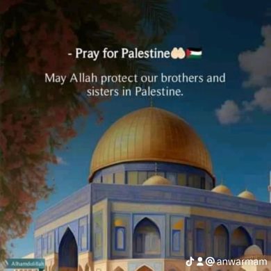 بن محمد الأنصاري Profile Picture