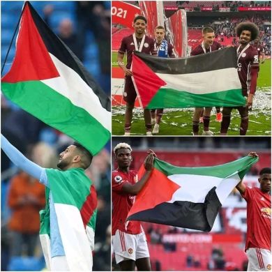 abubeker mehammed Profile Picture