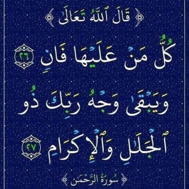 ኩንሰለፍይ ኩንሰለፍይ Profile Picture