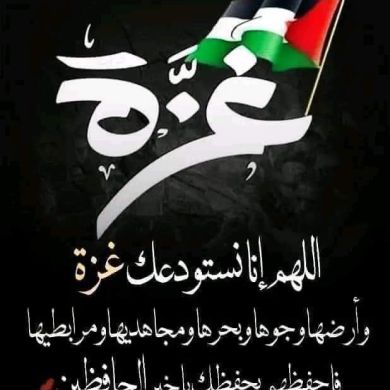 ali ahmoud mohamed m