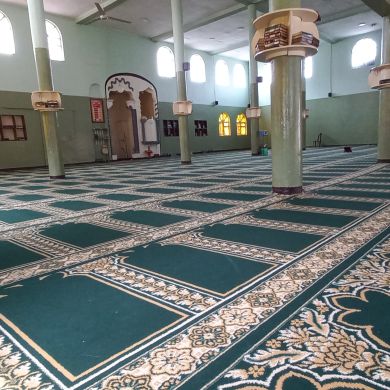 umma47 Profile Picture