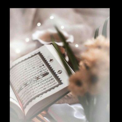 osman Moh Profile Picture