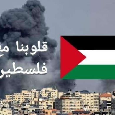 Ahmed Rizk Profile Picture