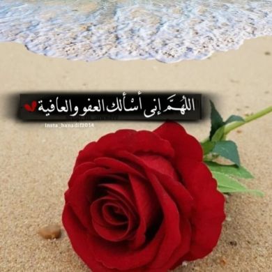 fedlya ebrahim Profile Picture