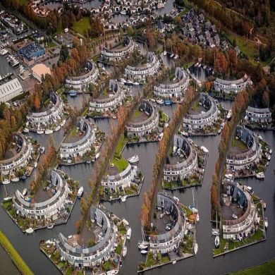 Fathi Rebi Profile Picture