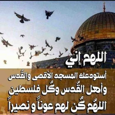 umuu ammaar Profile Picture