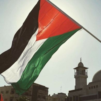 Fatma Sleem Profile Picture