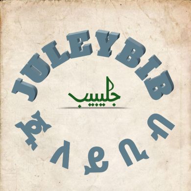 JULEYBIB MOHAMMED