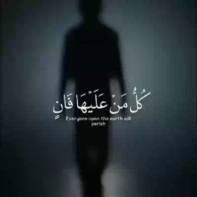 أم رفيف و أم زاهد Profile Picture