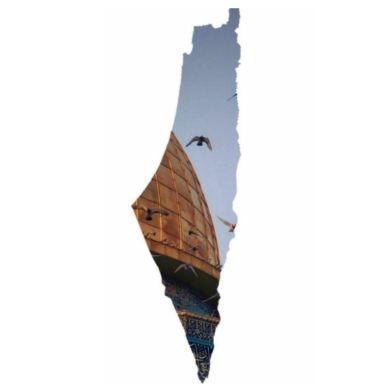 amredin mohammed Profile Picture