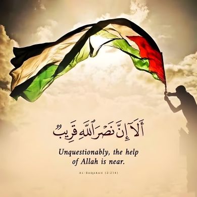 Dr_Negida Profile Picture