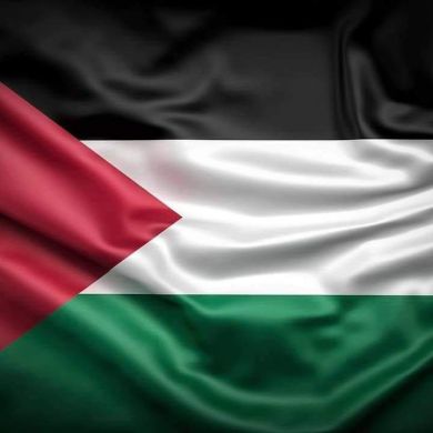 ami ne Profile Picture