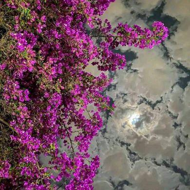 hn oo Profile Picture