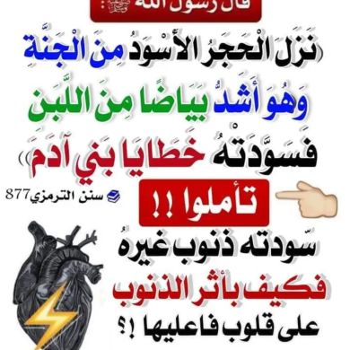 Seyfedin2 Sherefa Profile Picture