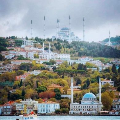 abdul aziz Profile Picture