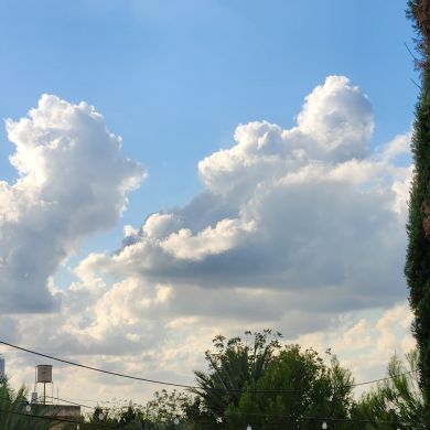 Abeer qu_ki Profile Picture