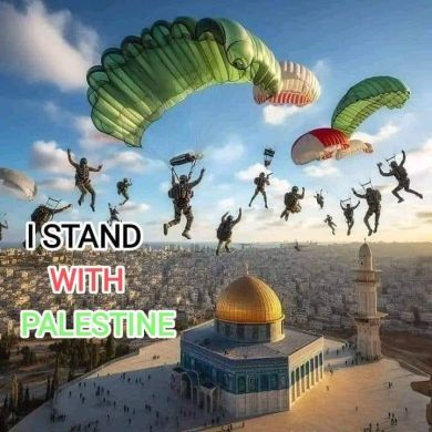 علاء الدين محمود profile picture