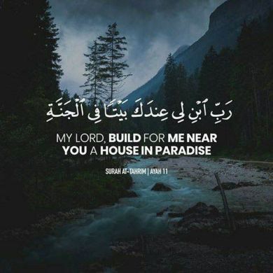 amirkedir Profile Picture