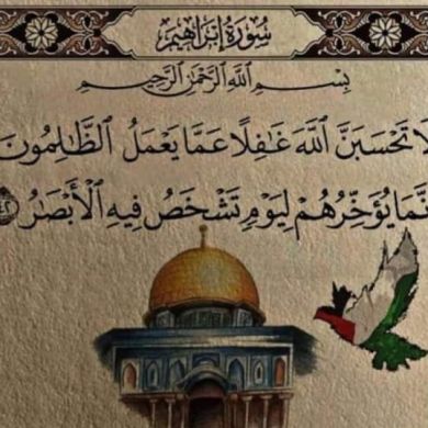 Muhammed yas Profile Picture