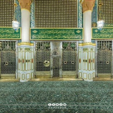 omar sawy Profile Picture