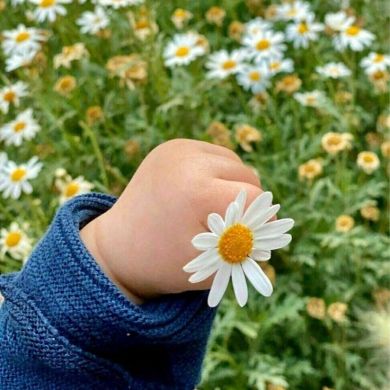 aisha hassen Profile Picture