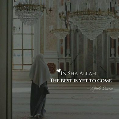 mima kemal Profile Picture