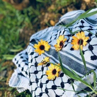 بشرى بن شامة Profile Picture